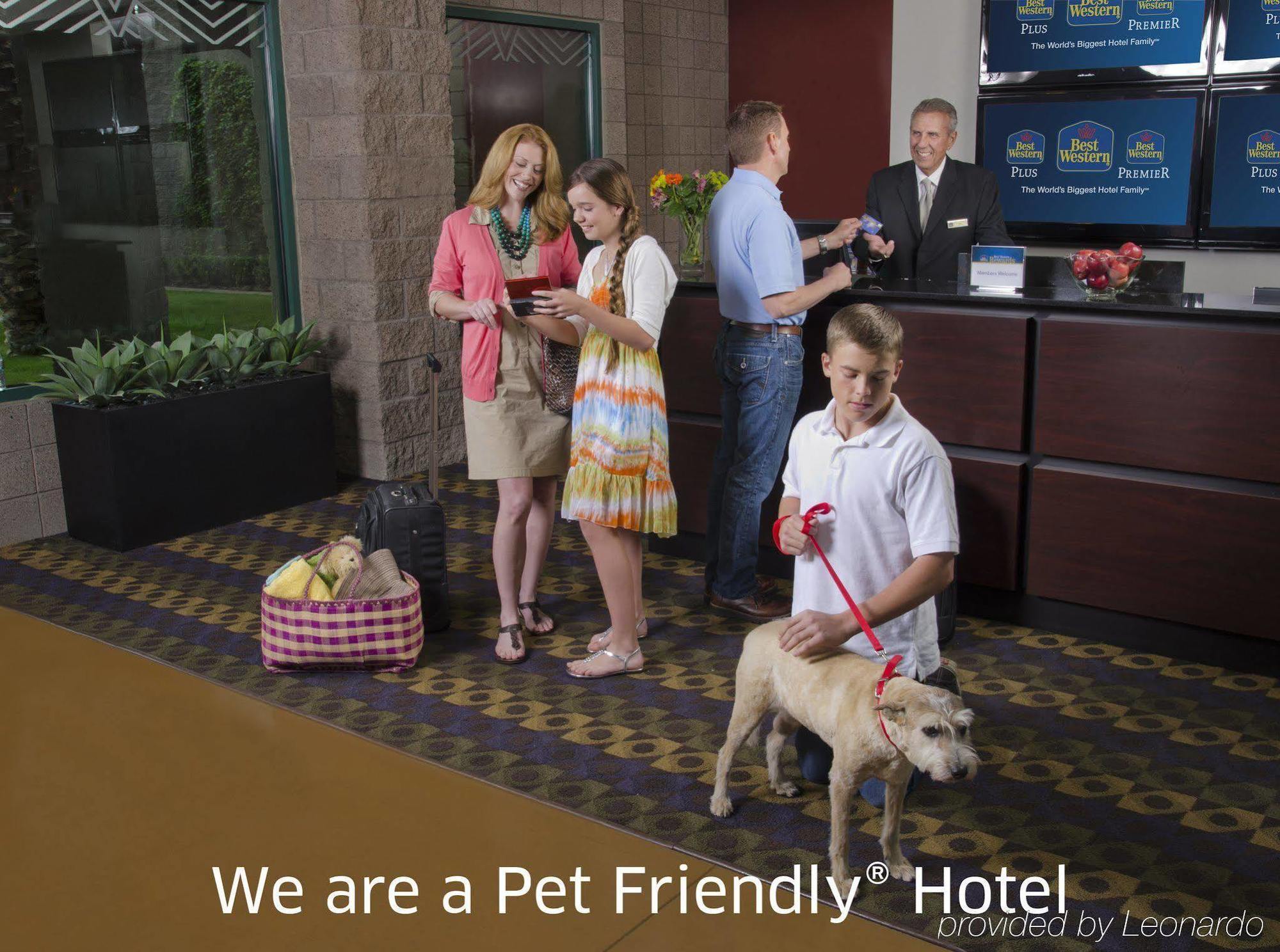 Best Western Plus Lytle Inn And Suites Εξωτερικό φωτογραφία
